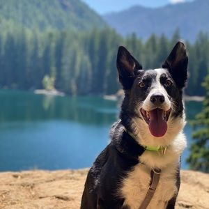 Meet your Posher, Nazila